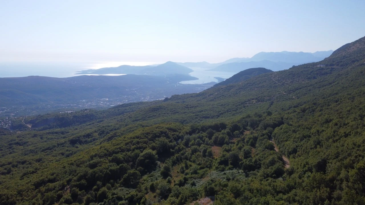 For Sale – Urbanaized Land 26,417 m², Čavori, Kotor