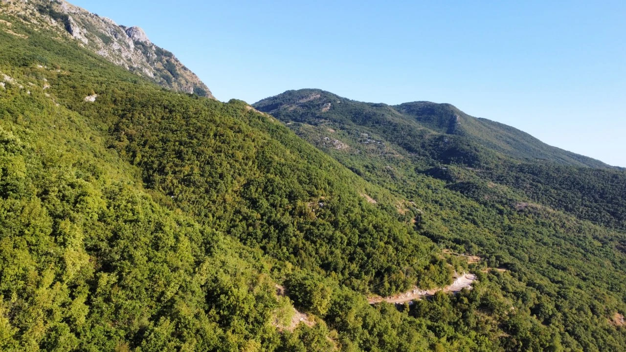 For Sale – Urbanaized Land 26,417 m², Čavori, Kotor