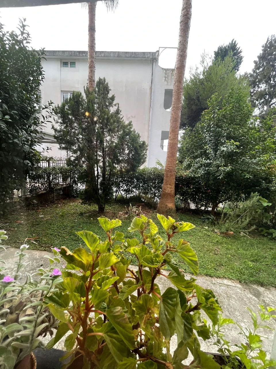 For Sale – Two-Bedroom Apartment, 56 m², Herceg Nov