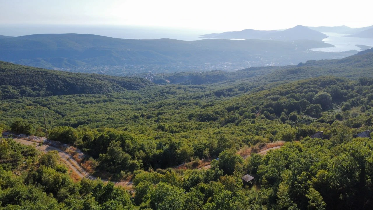 For Sale – Urbanaized Land 26,417 m², Čavori, Kotor