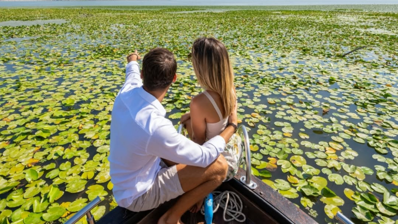 Boat ride through water lilies on Lake Skadar National Park, Montenegro